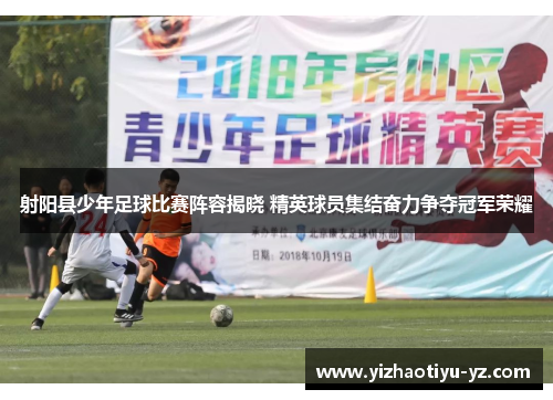 射阳县少年足球比赛阵容揭晓 精英球员集结奋力争夺冠军荣耀